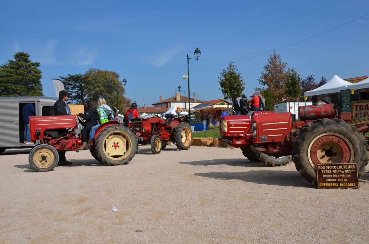 Marche Poire 2015 033