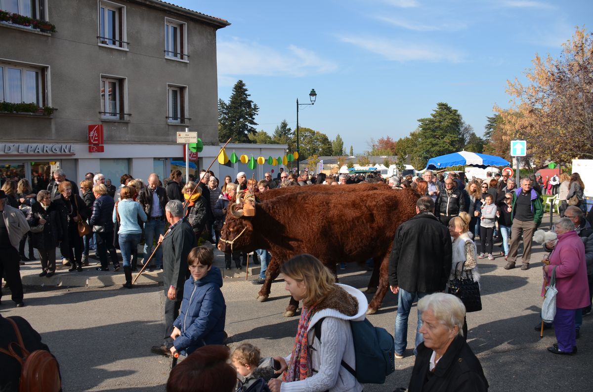 Marche Poire 2015 039