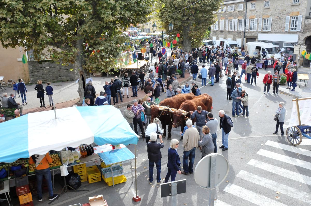 Marche Poire 2016 007