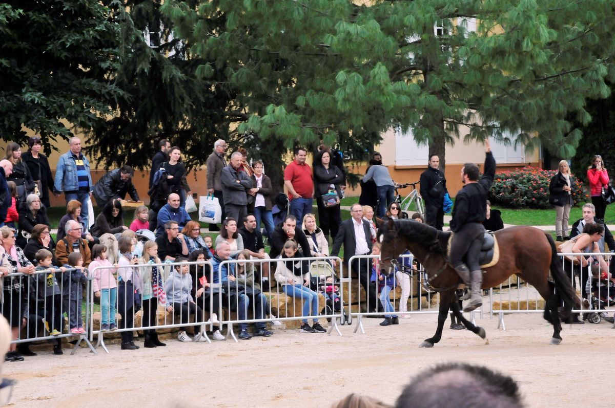 Marche Poire 2016 012