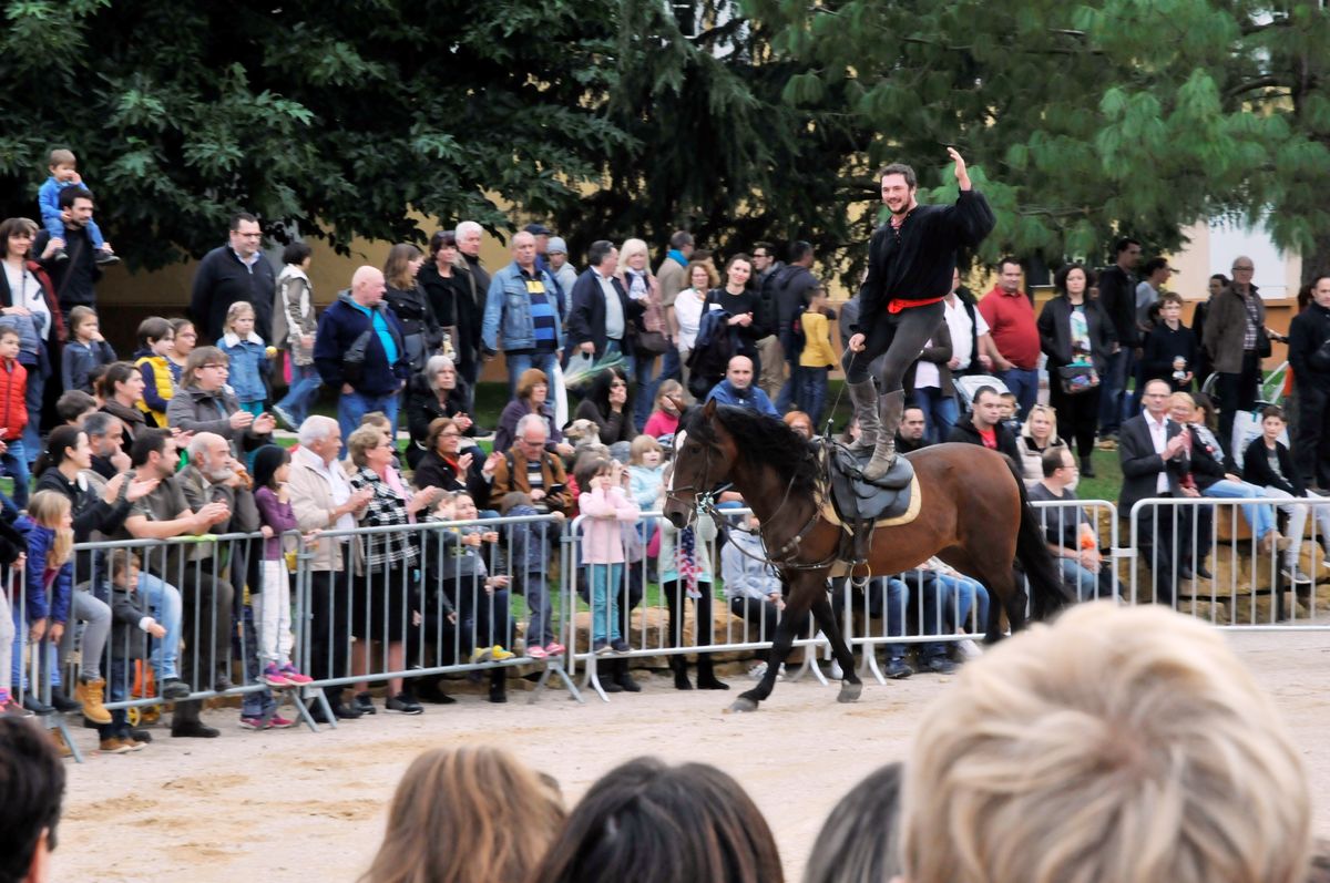 Marche Poire 2016 013