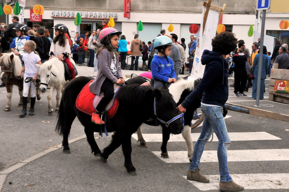 Marche Poire 2016 014